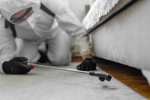 Professional Pest Control technician working in Jasper County County, IA